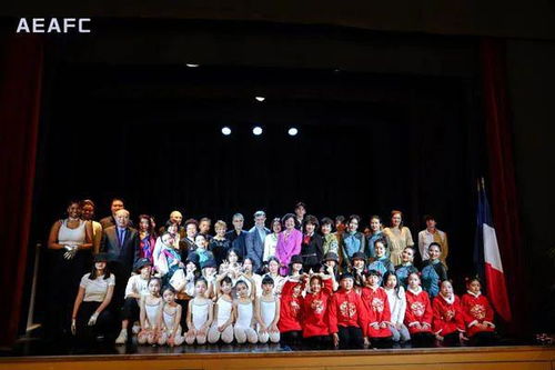 中法文化藝術交流協會迎春活動暨pde國際舞蹈展演季新聞發布會